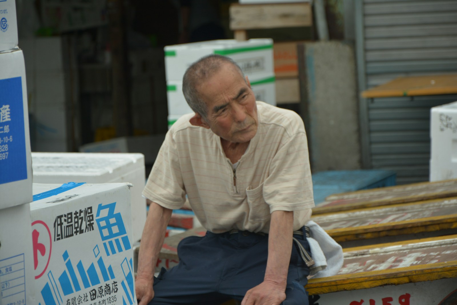 Haruto Miyazaki