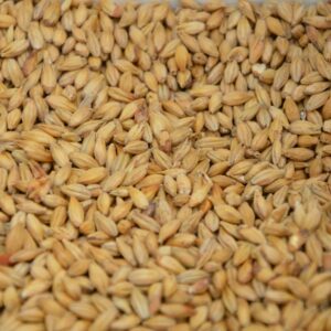 brown and white rice grains